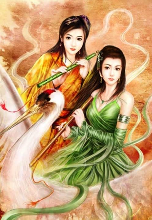 女主姜男主聂