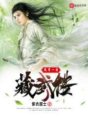 我有一座藏武楼这本书怎么样