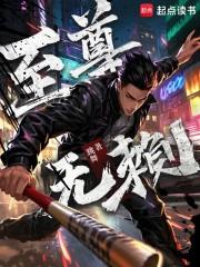 至尊无赖简介