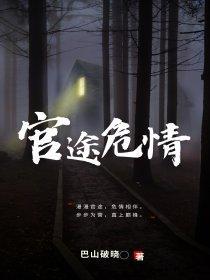 官途危情巴山破晓全文免费阅读最新章节列表
