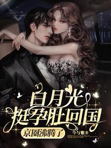 京圈沸腾了爆火短剧