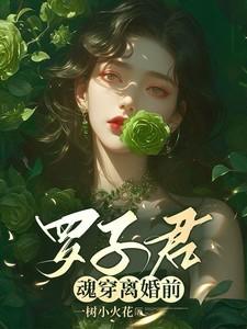 罗子君魂穿离婚前全文免费阅读
