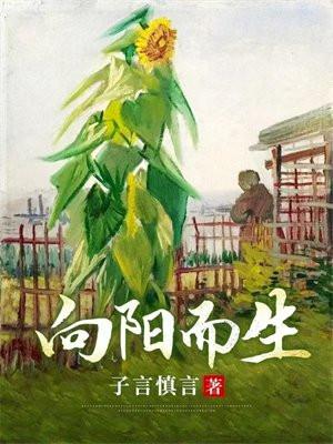 向阳而生华晨宇歌词